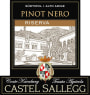 Castel Sallegg Sudtirol-Alto Adige Pinot Nero Riserva 2013 Front Label