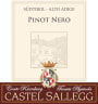Castel Sallegg Sudtirol-Alto Adige Pinot Nero 2013 Front Label