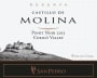 Castillo de Molina San Pedro Reserva Pinot Noir 2013 Front Label