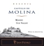 Castillo de Molina San Pedro Reserva Malbec 2010 Front Label