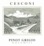 Cesconi Vigneti delle Dolomiti Pinot Grigio 2012 Front Label