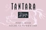 Tantara Silacci Vineyard Pinot Noir 2007 Front Label