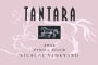 Tantara Silacci Vineyard Pinot Noir 2004 Front Label