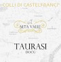 Colli di Castefranci Srl Taurasi Alta Valle 2010 Front Label