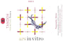 Compania Vitivinicola Tandem Ars in Vitro 2011 Front Label