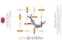 Compania Vitivinicola Tandem Ars in Vitro 2012 Front Label