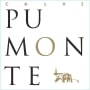 Domaine d'Alzipratu Corse Calvi Cuvee Pumonte Rouge 2013 Front Label