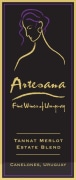 Artesana Tannat-Merlot 2011 Front Label