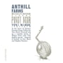 Anthill Farms Tina Marie Vineyard Pinot Noir 2015 Front Label