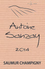 Domaine Antoine Sanzay Saumur Champigny 2013 Front Label