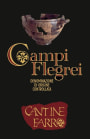 Farro Srl Campi Flegrei Piedirosso 2010 Front Label