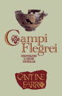 Farro Srl Campi Flegrei Falanghina 2013 Front Label