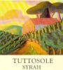 Fattoria Montellori Tuttosole Syrah 2005 Front Label