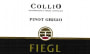 Fiegl Vini Pinot Grigio 2015 Front Label
