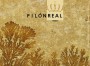 Filon Real Garnacha 2013 Front Label