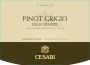 Gerardo Cesari S.p.A. delle Venezie Fiorile Pinot Grigio 2012 Front Label