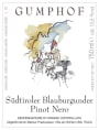 Gumphof Sudtiroler Blauburgunder 2013 Front Label