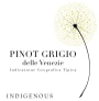 Indigenous Selections LLC delle Venezie Pinot Grigio 2014 Front Label