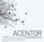 Isaac Fernandez Seleccion Acentor Garnacha 2011 Front Label