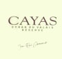Jean-Rene Germanier Balavaud Syrah du Valais Cayas Reserve 2009 Front Label