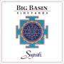 Big Basin Santa Cruz Monterey Syrah 2013 Front Label