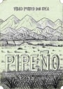 Louis-Antoine Luyt Pipeno Santa Juana 2014 Front Label