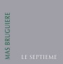 Mas Bruguiere Pic Saint Loup Le Septieme 2008 Front Label