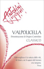 Pier Paolo Antolini Valpolicella Classico 2009 Front Label