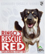 Conway Family Wines Ringos Rescue Red 2013 Front Label