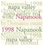 Dominus Napanook Vineyard 1998 Front Label
