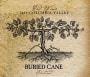 Buried Cane Heartwood Red 2009 Front Label