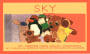 Sky Mt. Veeder Zinfandel 2011 Front Label