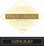 Concilio Trentino Pinot Grigio 2008 Front Label