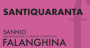 Santiquaranta Falanghina del Sannio 2014 Front Label