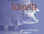 Scarpetta Barbera del Monferrato 2013 Front Label
