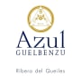 Guelbenzu Azul 2007 Front Label