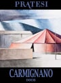 Pratesi Carmignano 2013 Front Label