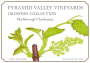 Pyramid Valley Growers Collection Chardonnay 2015 Front Label
