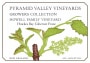 Pyramid Valley Growers Collection Howell Family Vineyard Cabernet Franc 2012 Front Label