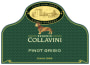 Collavini Collio Goriziano Villa Canlungo Pinot Grigio 2015 Front Label