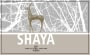Shaya Shaya Verdejo 2011 Front Label