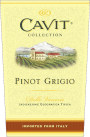 Cavit Pinot Grigio 2010 Front Label
