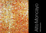 Alto Moncayo Garnacha 2013 Front Label