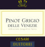 DueTorri Pinot Grigio 2011 Front Label