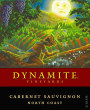 Dynamite Vineyards Cabernet Sauvignon 2013 Front Label