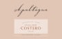 Apaltagua Costero Extra Brut 2013 Front Label