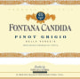 Fontana Candida Pinot Grigio 2013 Front Label