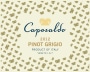 Caposaldo Pinot Grigio 2012 Front Label