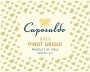 Caposaldo Pinot Grigio 2011 Front Label