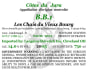 Les Chais Du Vieux Bourg Cotes du Jura BB1 2005 Front Label